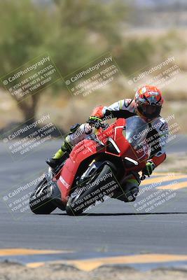 media/May-14-2023-SoCal Trackdays (Sun) [[024eb53b40]]/Turn 5 Tree of Life (1125am)/